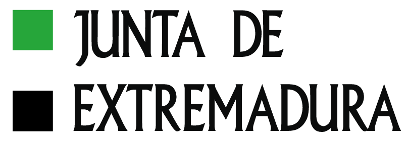 JUNTA doslineas con bandera